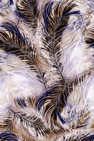 肌理印花华亿平台图片