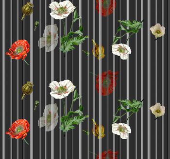 668826-罂粟与条纹黑