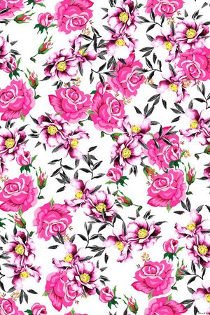 时尚女装DG玫瑰印花华亿平台图片