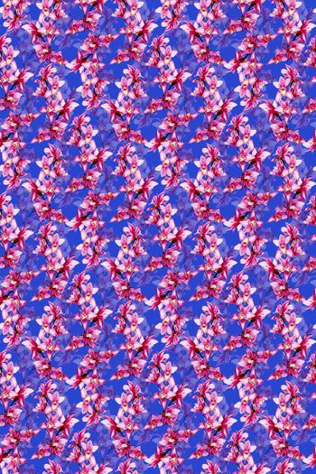 668858-花朵 花枝--2