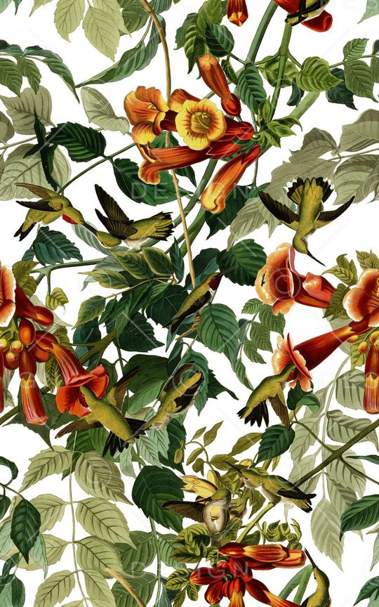 小鸟印花华亿平台图片