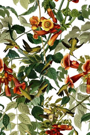 小鸟印花华亿平台图片