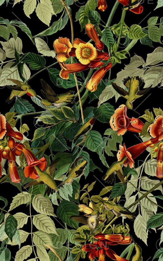 小鸟印花华亿平台图片