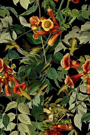 小鸟印花华亿平台图片