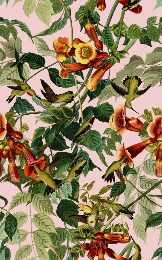 小鸟印花华亿平台图片