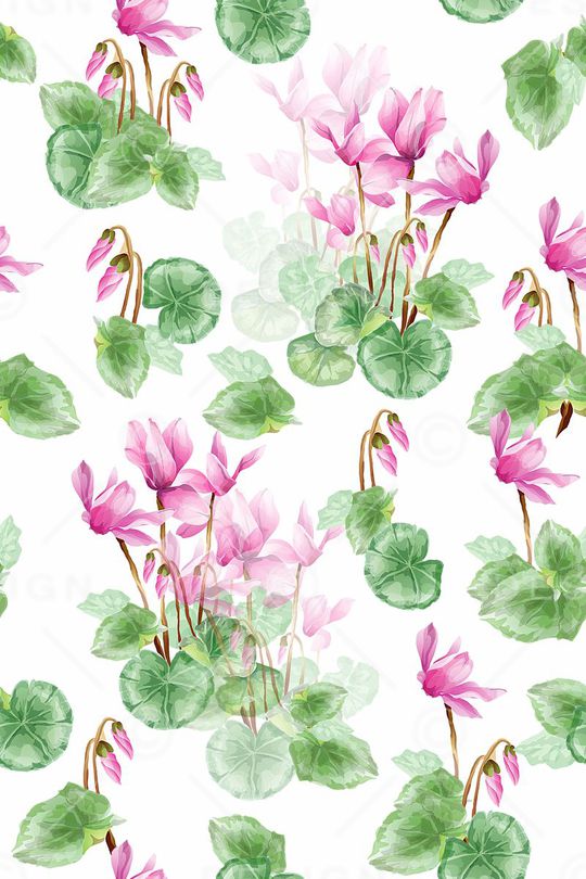 荷花印花华亿平台图片