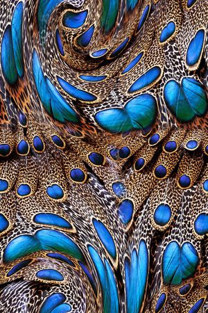 动物纹印花华亿平台图片