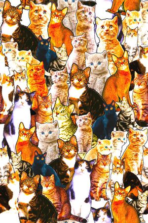 女装印花华亿平台图片