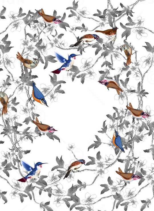 杜嘉班纳印花华亿平台图片