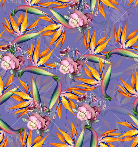 莫妮卡-女装华亿平台印花华亿平台图片