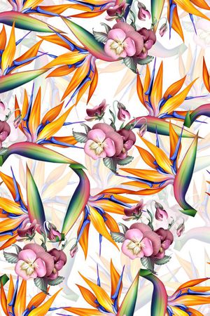 莫妮卡-女装华亿平台印花华亿平台图片