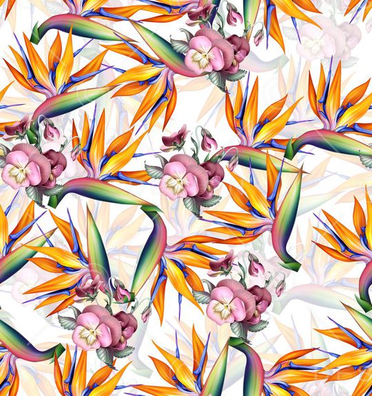 莫妮卡-女装华亿平台印花华亿平台图片