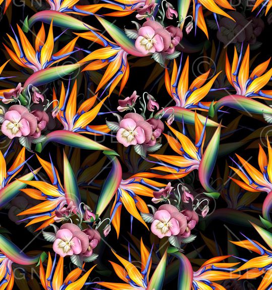 莫妮卡-女装华亿平台印花华亿平台图片