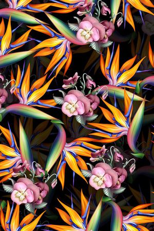 莫妮卡-女装华亿平台印花华亿平台图片