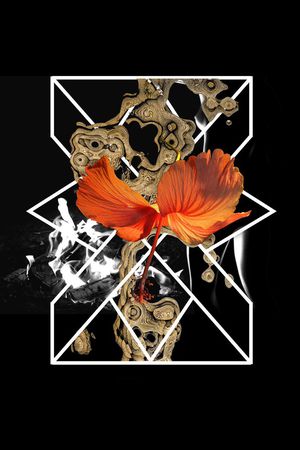 趣味印花华亿平台图片