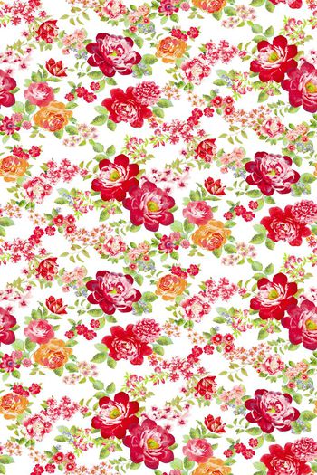 669535-花卉花朵花枝