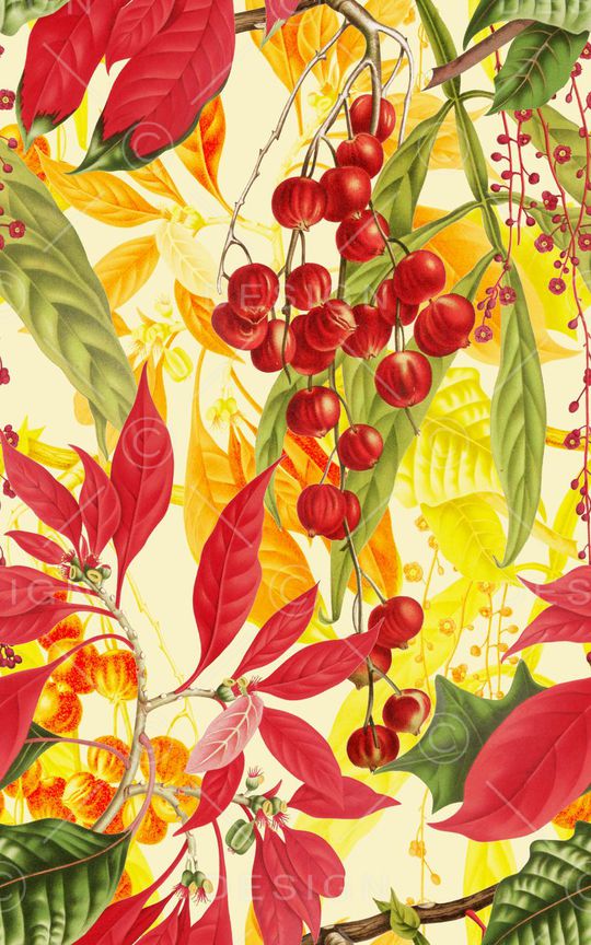 植物印花华亿平台图片