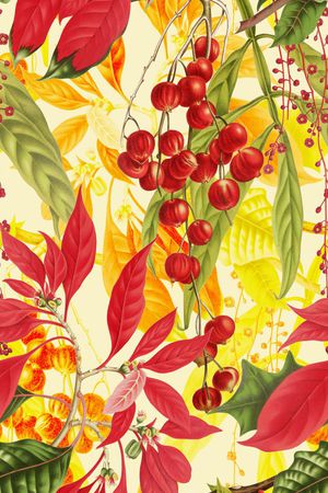 植物印花华亿平台图片