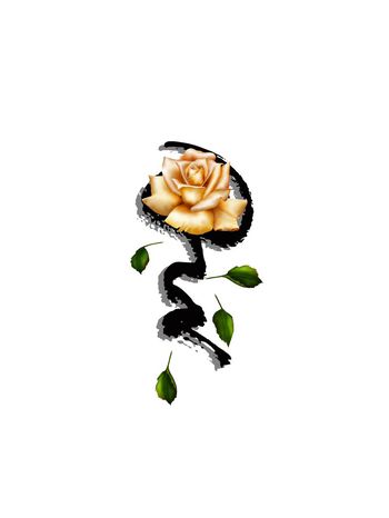 669712-T桖个性复古花卉-2