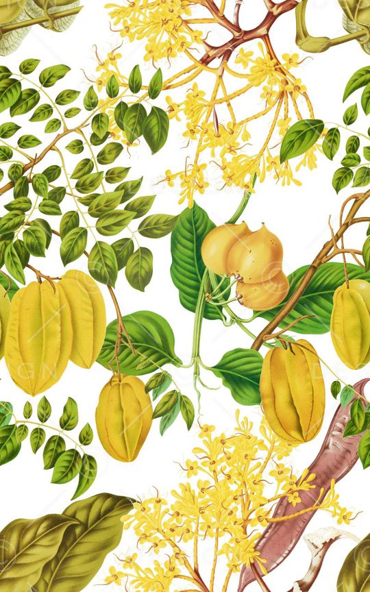 杨桃印花华亿平台图片