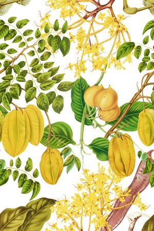 杨桃印花华亿平台图片