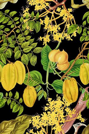 杨桃印花华亿平台图片