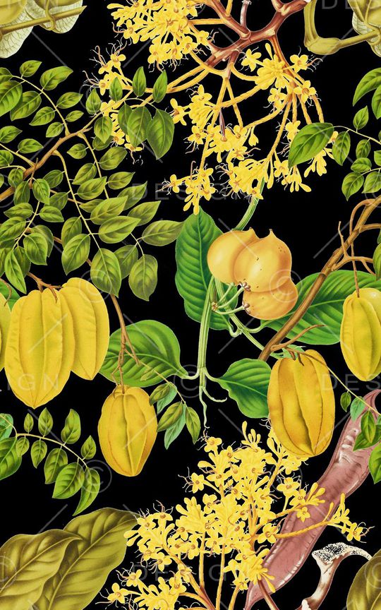 杨桃印花华亿平台图片