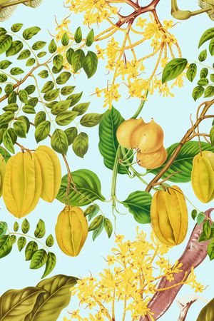 杨桃印花华亿平台图片