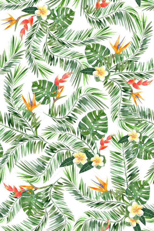 天堂鸟花印花华亿平台图片