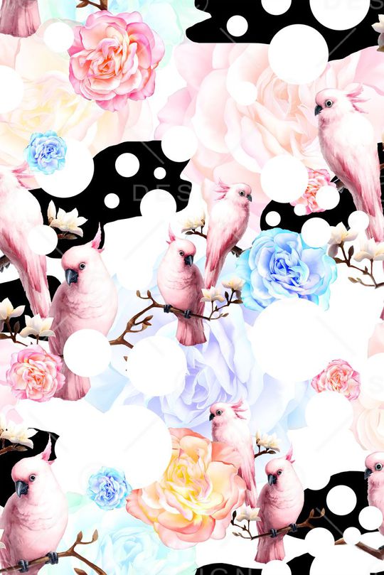 鸟儿印花华亿平台图片