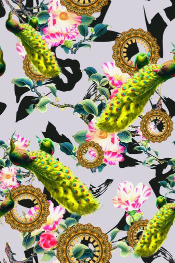 669779-古典孔雀花卉配色