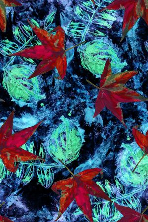 落叶印花华亿平台图片