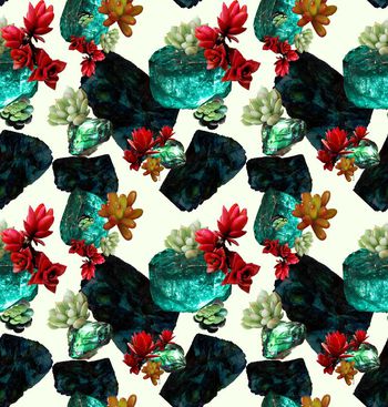 669866-宝石多肉白