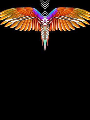 669894-838816071308a