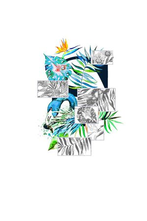 天堂鸟花印花华亿平台图片