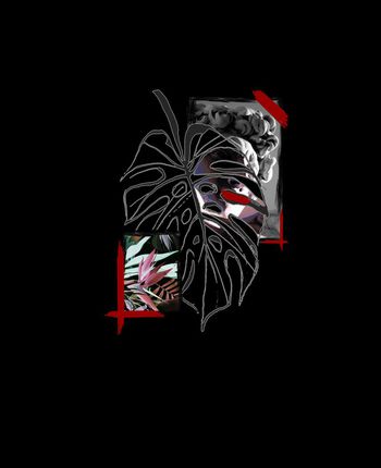 热带植物印花华亿平台图片