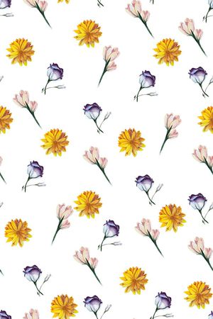 女装印花华亿平台图片