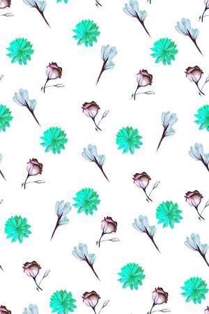 女装印花华亿平台图片