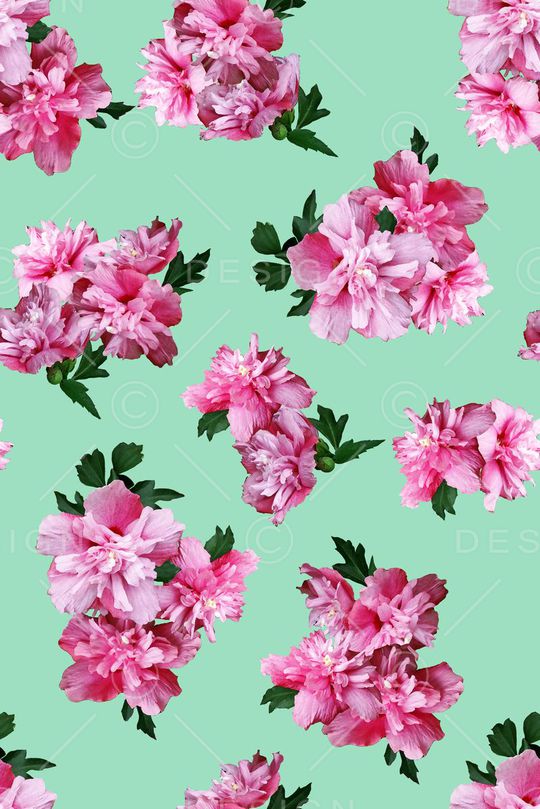 青舞-花卉印花华亿平台图片