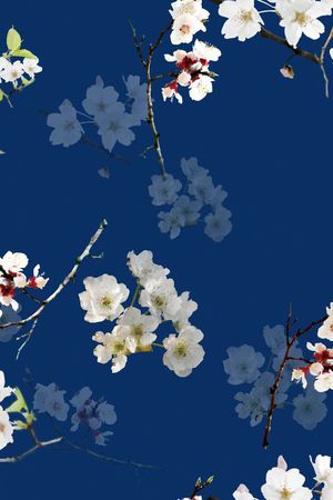 莫妮卡-女装华亿平台印花华亿平台图片