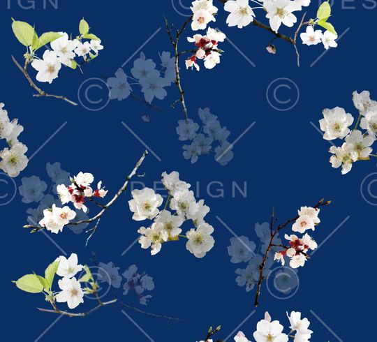 莫妮卡-女装华亿平台印花华亿平台图片