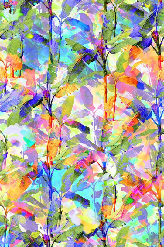 泳装印花华亿平台图片