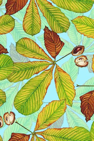 时尚抽象手绘植物树叶印花印花华亿平台图片