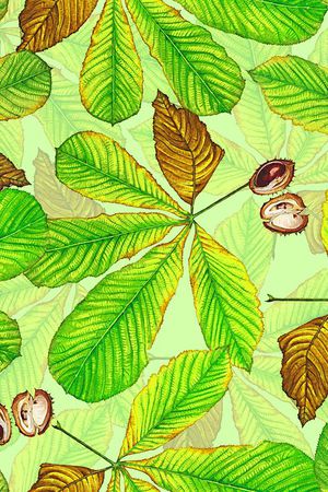 时尚抽象手绘植物树叶印花印花华亿平台图片