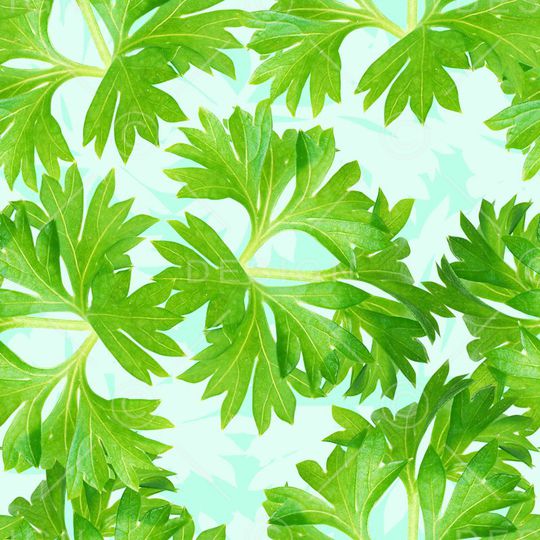 时尚潮流清爽女装清爽印花印花华亿平台图片