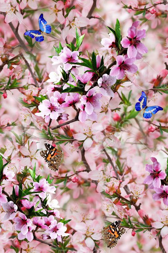 花朵印花华亿平台图片