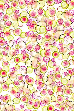 柠檬印花华亿平台图片