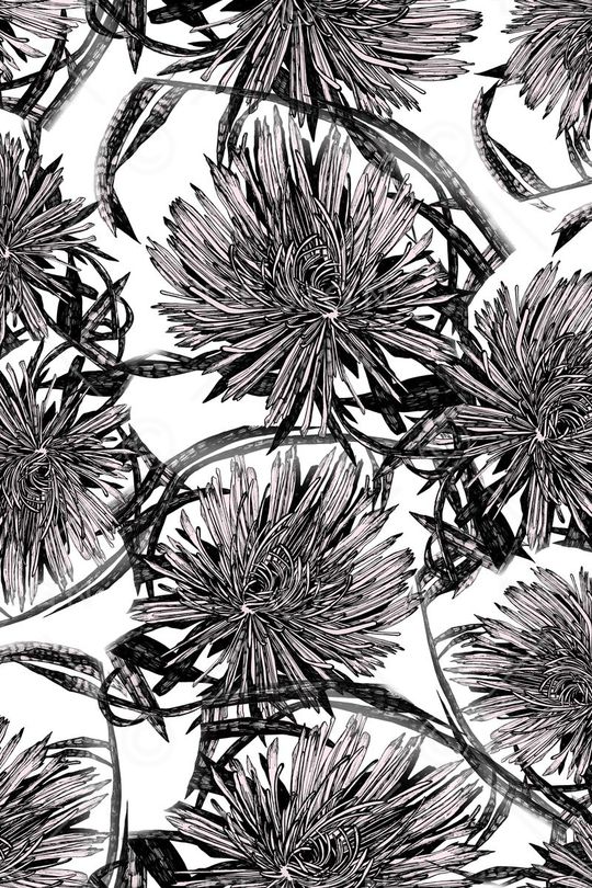 黑白花印花华亿平台图片