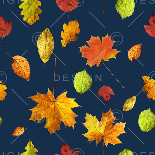 风景印花华亿平台图片