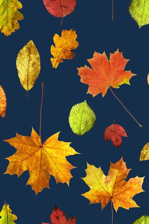 风景印花华亿平台图片